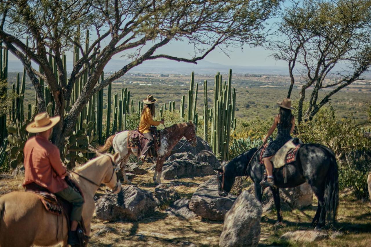 Our Habitas San Miguel De Allende Bandita Bagian luar foto