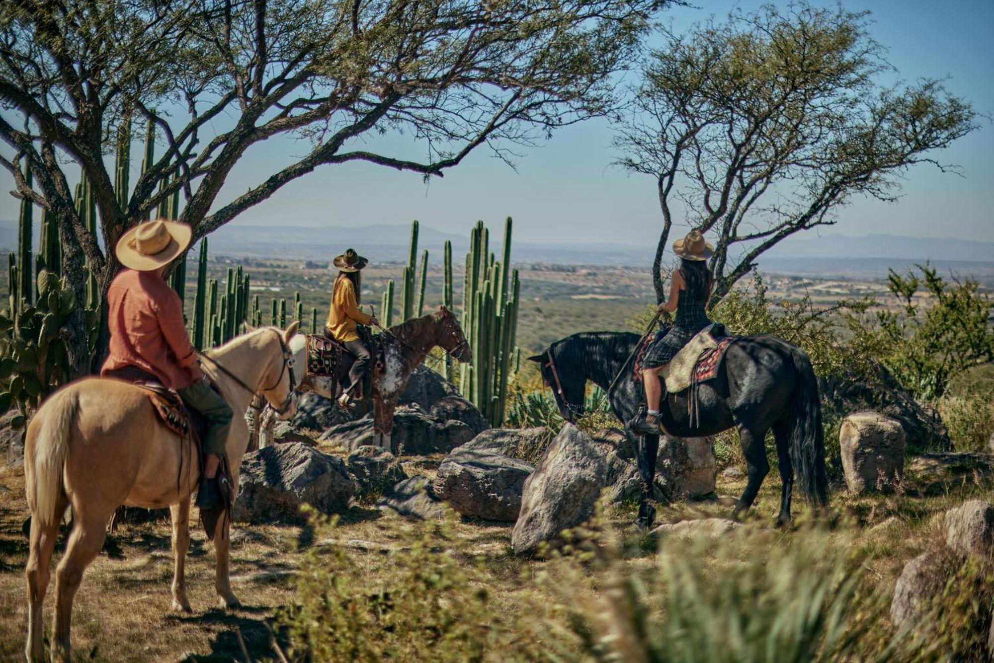 Our Habitas San Miguel De Allende Bandita Bagian luar foto